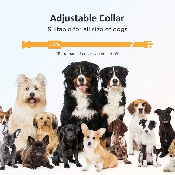 Shock collar for small dogs